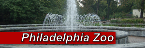 Philadelphia Zoo Project